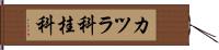 カツラ科 Hand Scroll