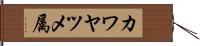 カワヤツメ属 Hand Scroll
