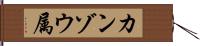 カンゾウ属 Hand Scroll