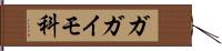 ガガイモ科 Hand Scroll