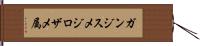 ガンジスメジロザメ属 Hand Scroll