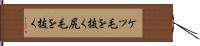 ケツ毛を抜く Hand Scroll