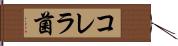 コレラ菌 Hand Scroll