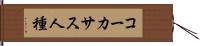 コーカサス人種 Hand Scroll