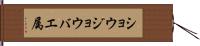 ショウジョウバエ属 Hand Scroll
