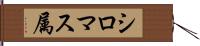 シロマス属 Hand Scroll