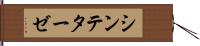 シンテターゼ Hand Scroll
