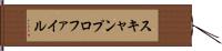 スキャンプロファイル Hand Scroll