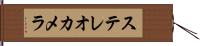 ステレオカメラ Hand Scroll