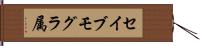 セイブモグラ属 Hand Scroll