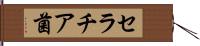 セラチア菌 Hand Scroll