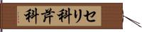 セリ科 Hand Scroll