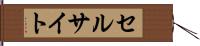 セルサイト Hand Scroll