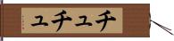 チュチュ Hand Scroll