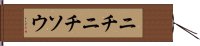 ニチニチソウ Hand Scroll