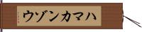 ハマカンゾウ Hand Scroll