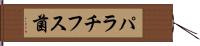 パラチフス菌 Hand Scroll