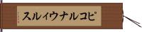 ピコルナウィルス Hand Scroll