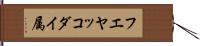 フエヤッコダイ属 Hand Scroll