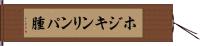 ホジキンリンパ腫 Hand Scroll