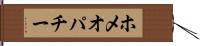 ホメオパチー Hand Scroll