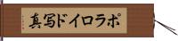 ポラロイド写真 Hand Scroll