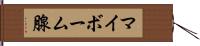 マイボーム腺 Hand Scroll