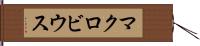 マクロビウス Hand Scroll