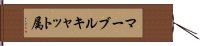 マーブルキャット属 Hand Scroll