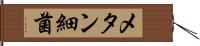 メタン細菌 Hand Scroll