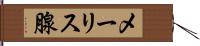 メーリス腺 Hand Scroll