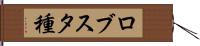 ロブスタ種 Hand Scroll