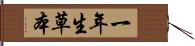 一年生草本 Hand Scroll