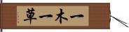 一木一草 Hand Scroll