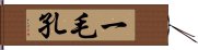 一毛孔 Hand Scroll