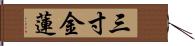 三寸金蓮 Hand Scroll