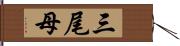 三尾母 Hand Scroll