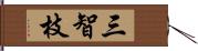 三智枝 Hand Scroll