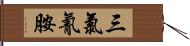 三氯氰胺 Hand Scroll