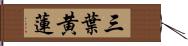 三葉黄蓮 Hand Scroll