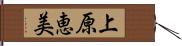 上原恵美 Hand Scroll