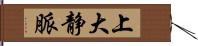 上大静脈 Hand Scroll