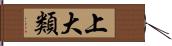 上大類 Hand Scroll