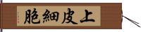 上皮細胞 Hand Scroll