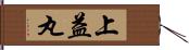 上益丸 Hand Scroll
