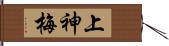 上神梅 Hand Scroll