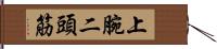 上腕二頭筋 Hand Scroll