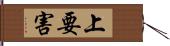 上要害 Hand Scroll