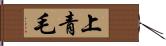 上青毛 Hand Scroll