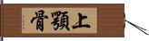 上顎骨 Hand Scroll